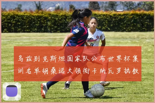 乌兹别克斯坦国家队公布世界杯集训名单胡桑诺夫领衔卡纳瓦罗执教